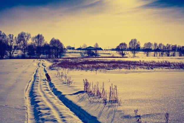 Besneeuwde landelijke winterlandschap in de avond blauw geel vintage