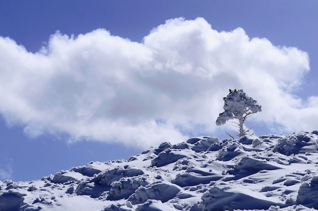 Besneeuwde landschappen vanuit het binnenland van granada spanje