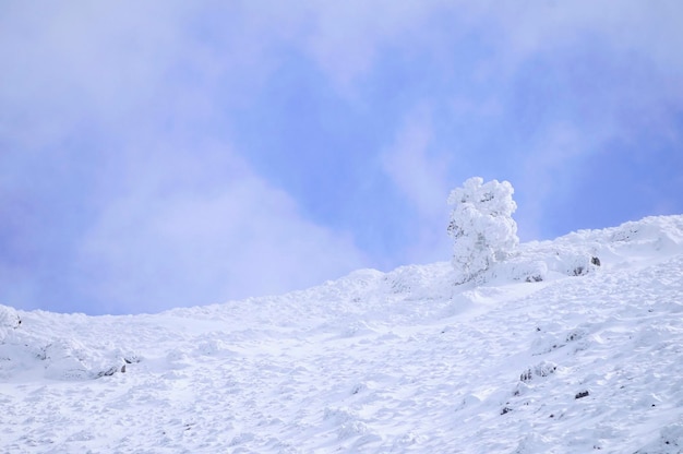 Besneeuwde landschappen vanuit het binnenland van granada spanje