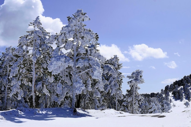 Besneeuwde landschappen vanuit het binnenland van granada spanje