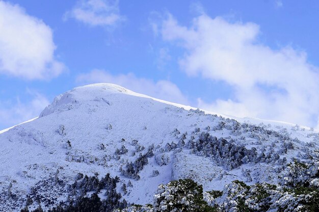 Besneeuwde landschappen vanuit het binnenland van granada spanje