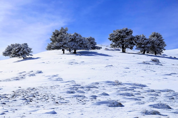 Besneeuwde landschappen vanuit het binnenland van granada spanje