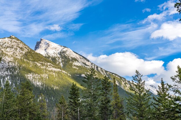 Besneeuwde Mount Rundle-bergketen met besneeuwd bos over blauwe lucht en witte wolken in de winter