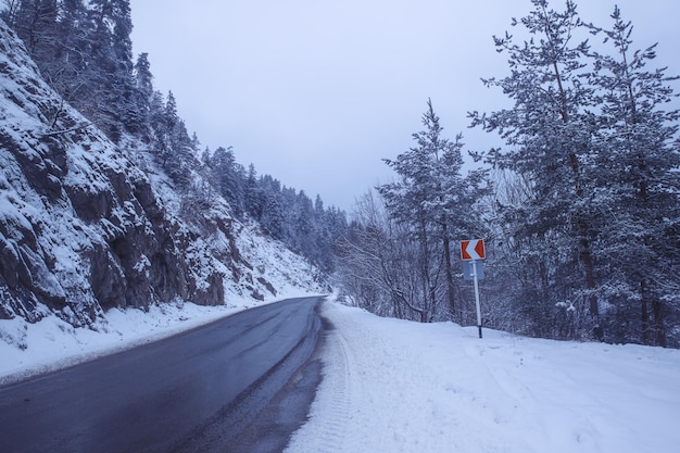 Besneeuwde weg in winterlandschap