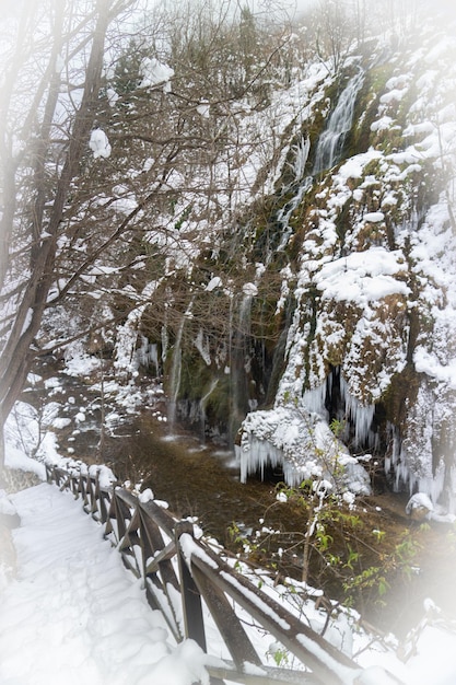 Besneeuwde winter bos waterval Kuzalan in de provincie Karadeniz Giresun, Turkije