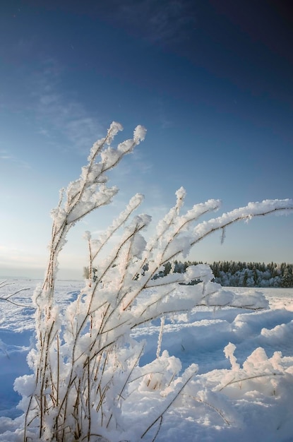 Besneeuwde winter buiten de stad