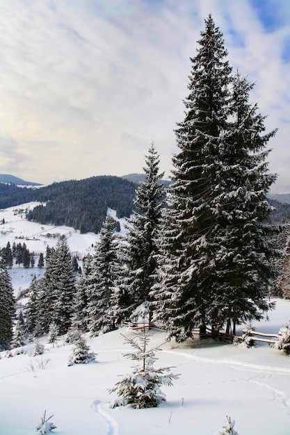 Besneeuwde winter in de uitlopers van de Alpen