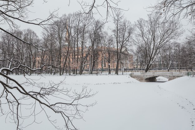 Besneeuwde winter in Mikhailovsky Garden in Sint-Petersburg, Rusland.