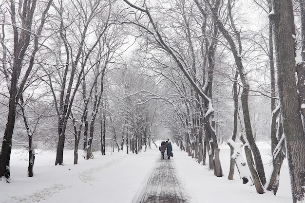 Besneeuwde winter park en banken. Park en pier voor het voeren van eenden en duiven. De eerste sneeuw bedekte het herfstpark.