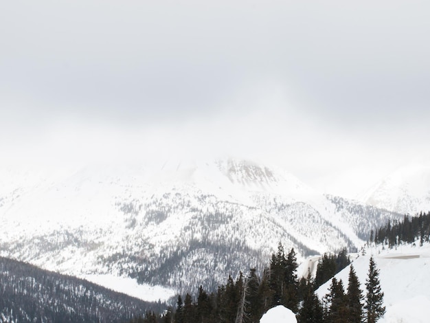 Besneeuwde winters tafereel hoog in de bergen. Colorado Rocky Mountains VS.