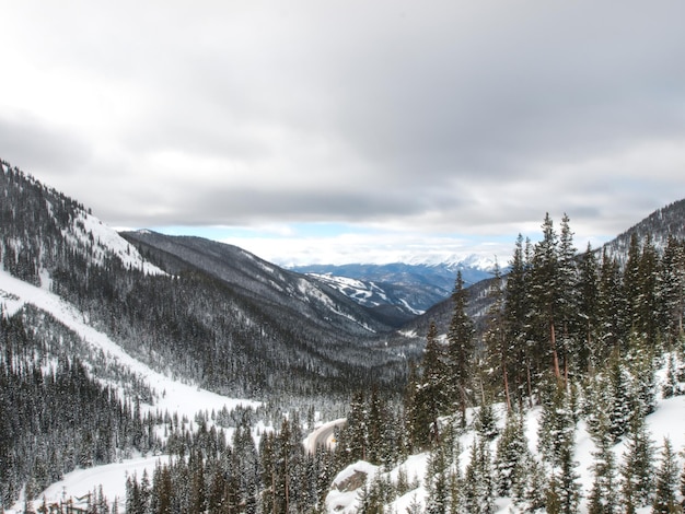 Besneeuwde winters tafereel hoog in de bergen. Colorado Rocky Mountains VS.