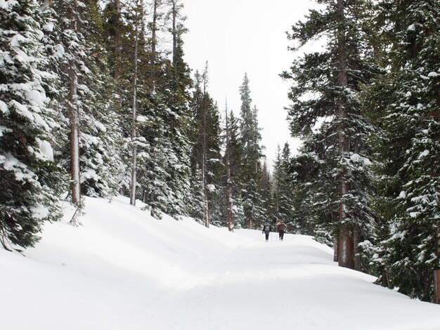 Besneeuwde winters tafereel hoog in de bergen. Colorado Rocky Mountains VS.