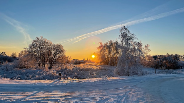 Besneeuwde winterweg met bomen op de achtergrond