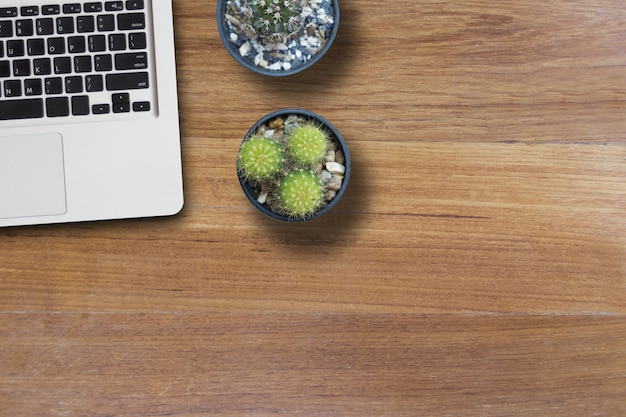 Bespotten laptop en cactus in pot op houten tafel van bruin.