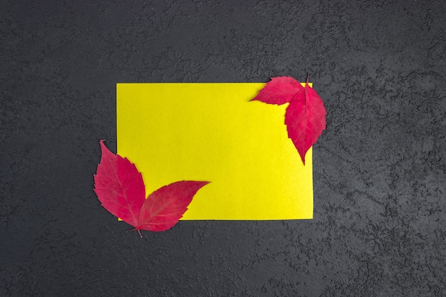 Bespotten van een blanco geel vel op een donkere betonnen ondergrond met rode herfstbladeren. Papieren sjabloon voor ontwerp. Visitekaartje. Plat leggen, ruimte kopiëren