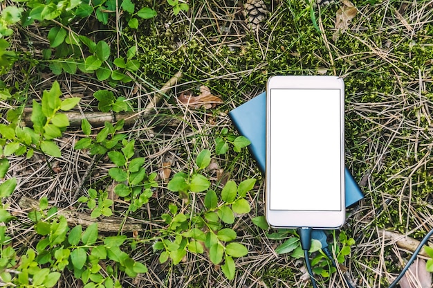 Bespotten van een smartphone met oplaadbare Power Bank op een mand in het bos. Concept rond het thema openluchtrecreatie.