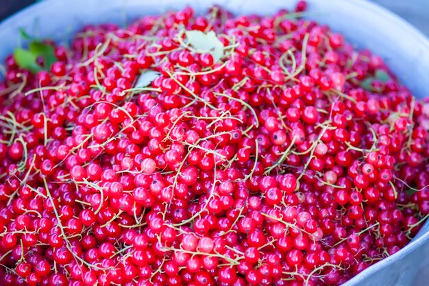 Foto bessen van rode bessen close-up van rode rijpe bessen voedselingrediënten in het zomerseizoen