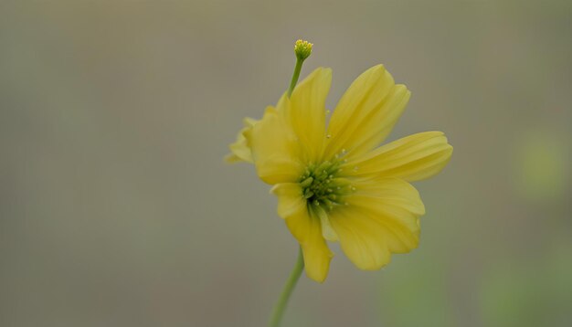 素晴らしい写真です 写真を撮ってみてください 写真はAIが作った写真です とても素敵な写真です