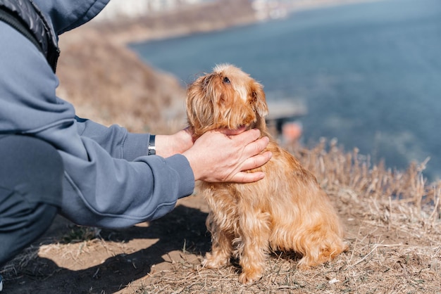 Photo best friend concept a man scratches his dog on the street selectively focuses a young oriental guy plays with his charming pet spends time with a brussels griffon