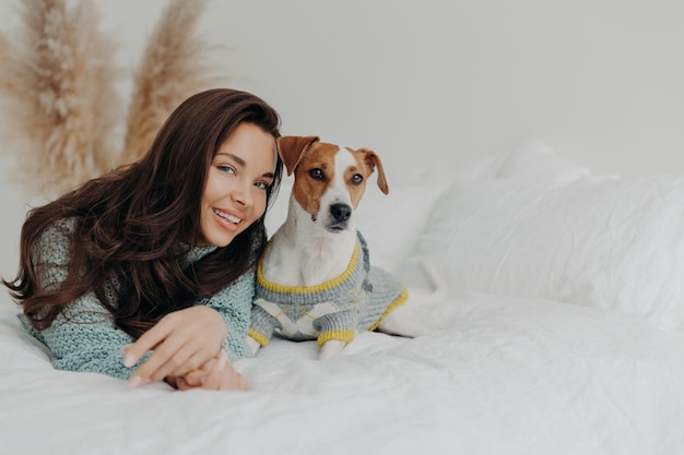 Best friends pleased attractive woman lies near jack russell\
terrier dog expresses love and care to favorite pet plays with\
domestic animal relax together on white blanket animals care\
concept