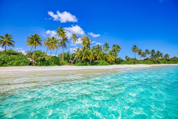 Beste zomer strand landschap. Rustig tropisch eiland, paradijselijke kust, palmbomen in de baai van de zee lagune