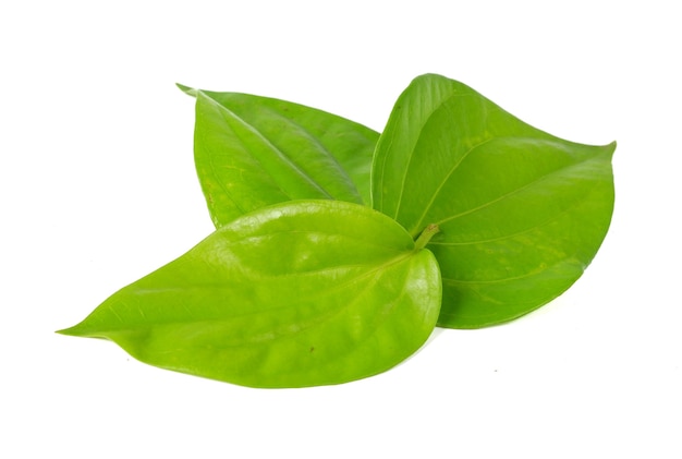 Betel leaf isolated on a white background