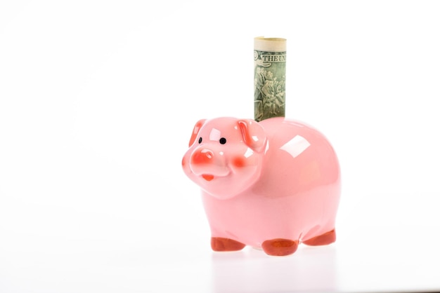 Betere manier om te bankieren. Piggy bank schattig roze varken close-up. Boekhoudkundige persoonlijke accountant en gezinsbudget. Spaarvarkensymbool van geldbesparingen. Financiële educatie. Financiën en investeringsbank.