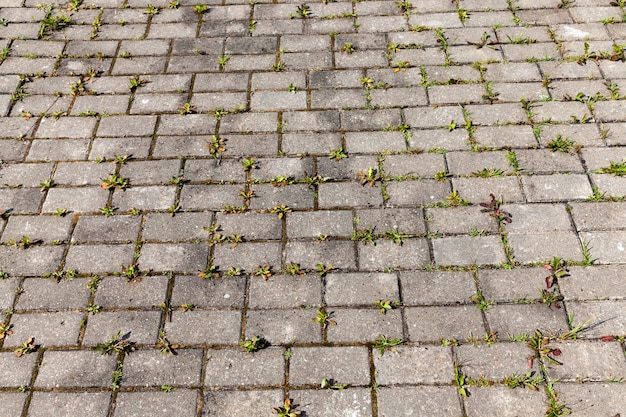 Betontegels op de weg met gras