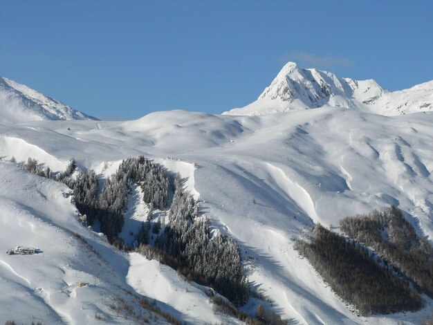 Betoverd landschap na hevige sneeuwval