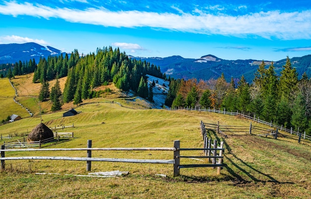 Betoverend mooi zomers landschap van een groene weide op een heuvel met uitzicht op een dichte