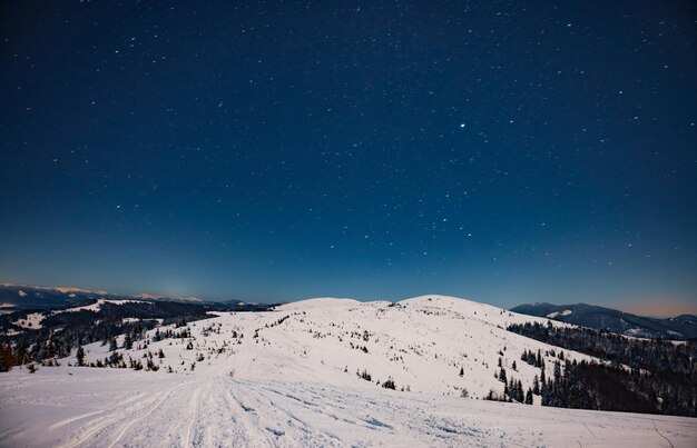 Betoverend nachtlandschap besneeuwde dennenbomen groeien tussen sneeuwbanken tegen de achtergrond van niet-bergketens en een heldere sterrenhemel. Schoonheidsconcept van de noordelijke natuur. Noorderlichtconcept