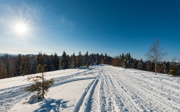 Betoverend uitzicht op de skipiste met een prachtig uitzicht op het besneeuwde heuvel naaldbos en zonnige bergketens op een heldere ijzige dag. Concept van ontspanning in een skiresort. Plaats voor tekst