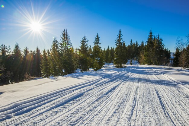 Betoverend uitzicht op de skipiste met een prachtig uitzicht op het besneeuwde heuvel naaldbos en zonnige bergketens op een heldere ijzige dag. concept van ontspanning in een skiresort. plaats voor tekst