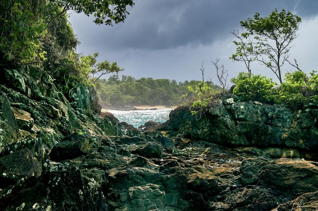 Betoverend uitzicht op een prachtig rotsachtig strand op het Caribische eiland Tobago, Trinidad