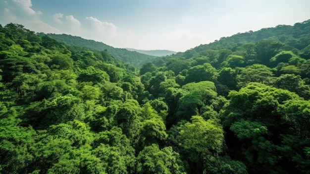 Betreed een wereld van rust en natuurlijke pracht terwijl je uitkijkt op het weelderige groene bladerdak van het bos dat zich uitstrekt zover het oog reikt Gegenereerd door AI