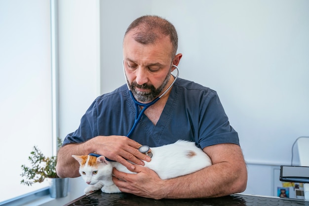 Betrokken mannelijke dierenarts die het hart met een stethoscoop controleert op een ongezonde bejaarde kat