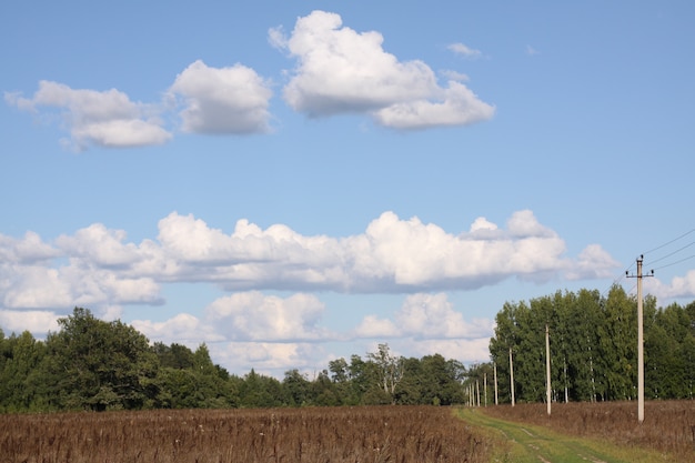 A beveled field of dry grass and sky with clouds