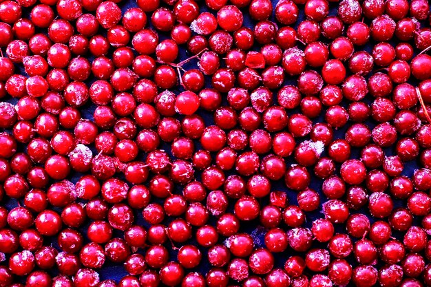 Foto bevroren bessen rode natuurlijke vitamines