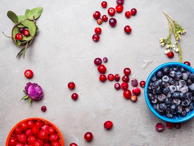 Bevroren bosbessen viburnum cranberry in kommen versierd met droge bloemen bladeren vitaminerijk voedsel