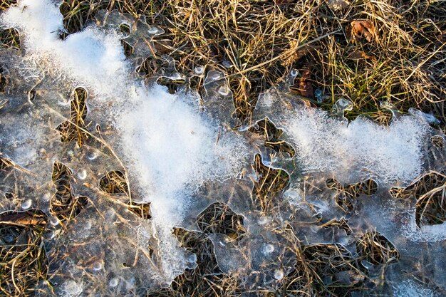 Bevroren dauw op het gras en bladeren op het land, ochtendkou en sneeuw