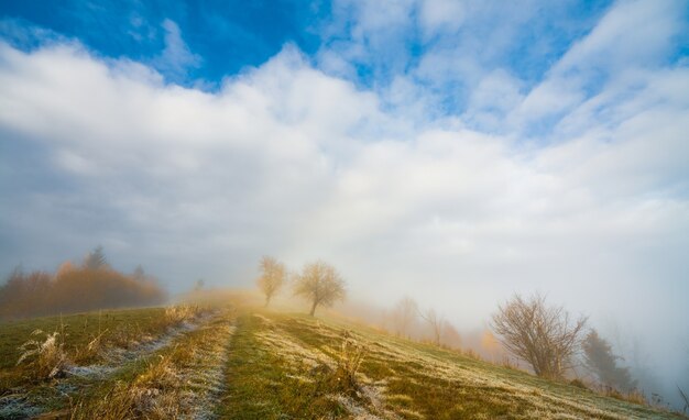 Bevroren gras bedekt met rijp tegen de achtergrond van een prachtige blauwe lucht en pluizige witte mist