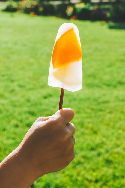 Bevroren ijslollys op stok in de hand van het kind op de achtergrond van groen gras. IJs met schijfjes sinaasappel en citroen, verticaal