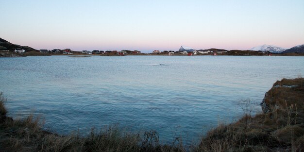 Bevroren kust in de winter met zon