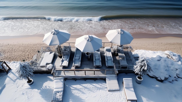 Bevroren palmbomen op het strand bij de zee of de oceaan A.I. gegenereerde opwarming van de aarde