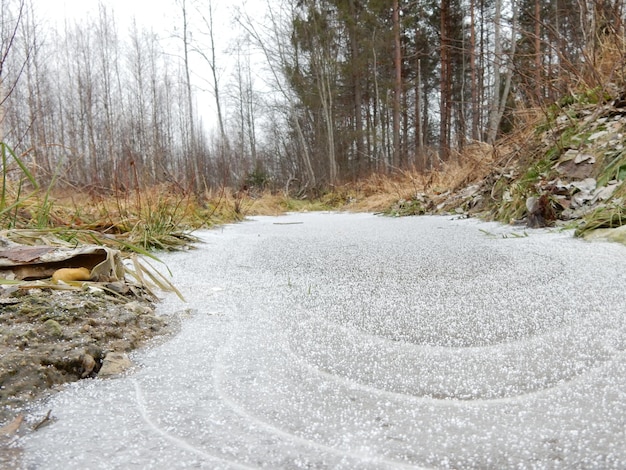 Bevroren rivier tijdens de winter in het bos