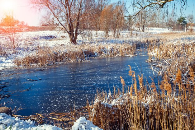 Bevroren vijver in het vroege voorjaar