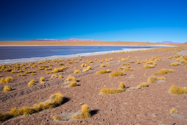 Bevroren zoutmeer aan de andes