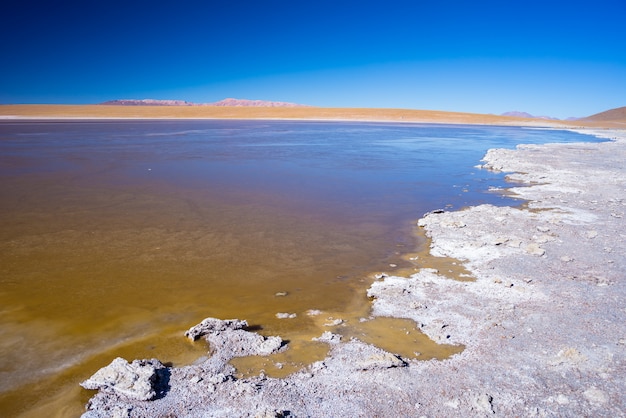 Bevroren zoutmeer aan de andes