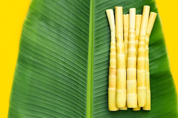 Bewaarde bamboescheuten op bananenblad op gele achtergrond.