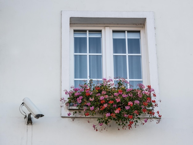 Bewakingscamera's op het raam van het gebouw bij het raam met bloemen